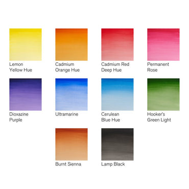 Winsor & Newton 5ml Cotman Paints Arrival Set of 10