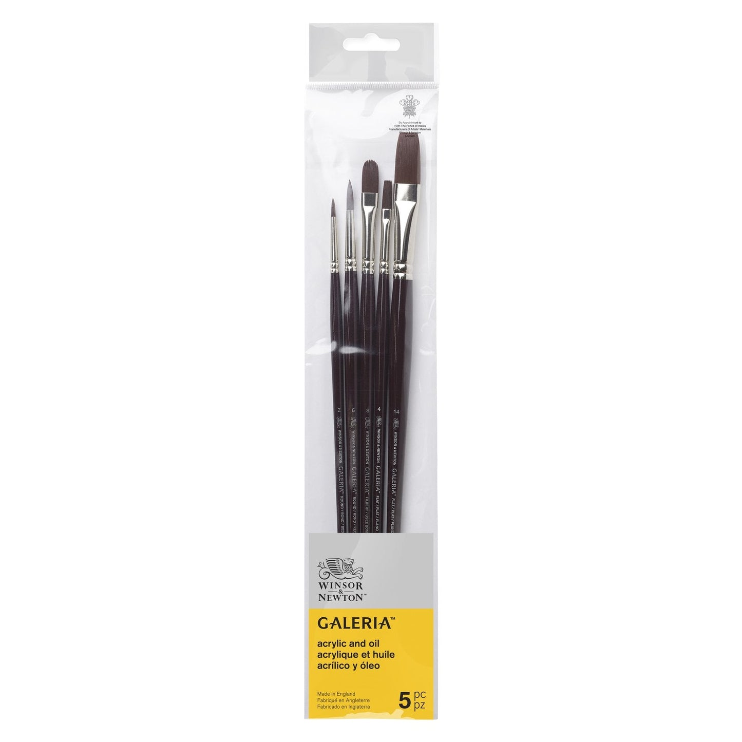 Winsor & Newton Galeria Long Handle V1 Brushes Set Of 5