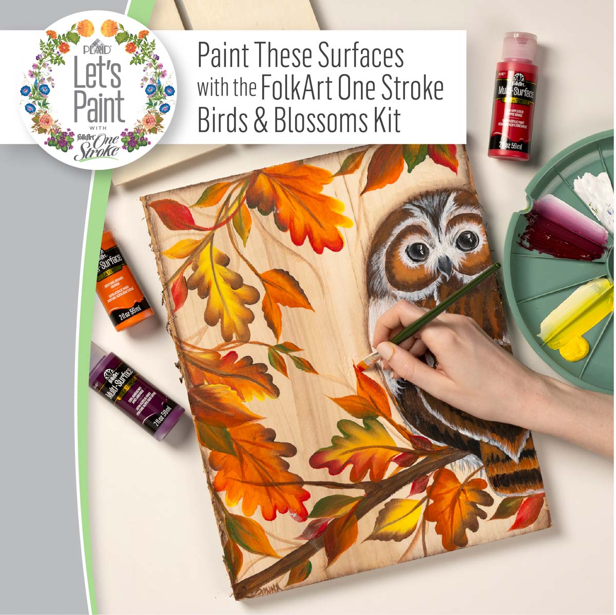 FolkArt Stroke Birds & Blossoms Surfaces Kit