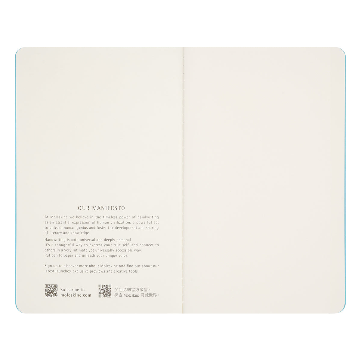 Moleskine LE Impressionism Large Plain Cahier Set