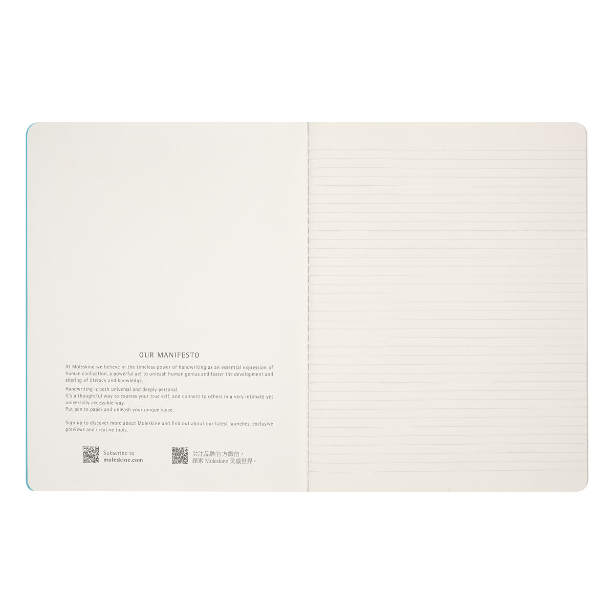 Moleskine LE Impressionism XL Ruled Cahier