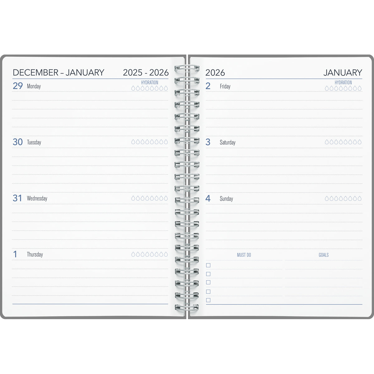 Collins Diary A63 Kiwi Vibe Week to View Even Year