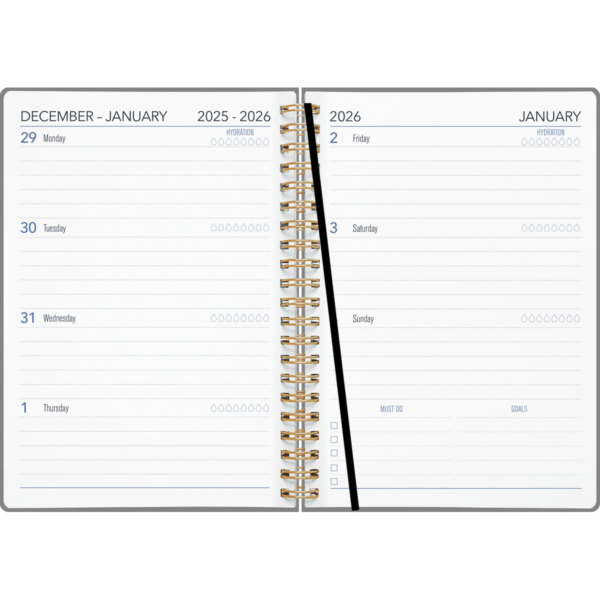 Collins Diary A53 Contemporary Art Even Year