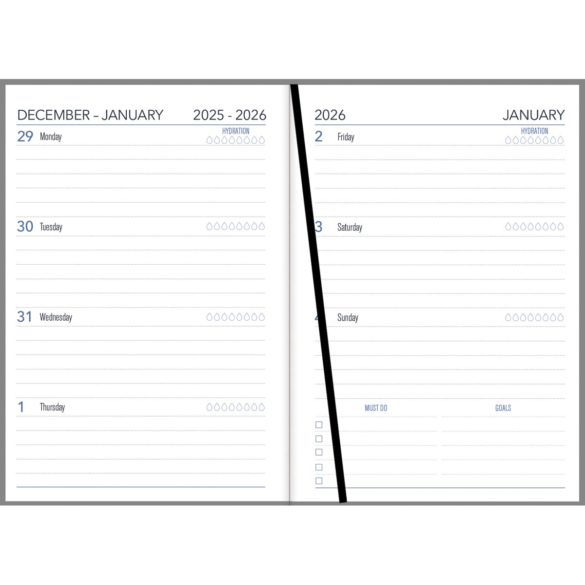 Collins Diary A53 Painterly Even Year