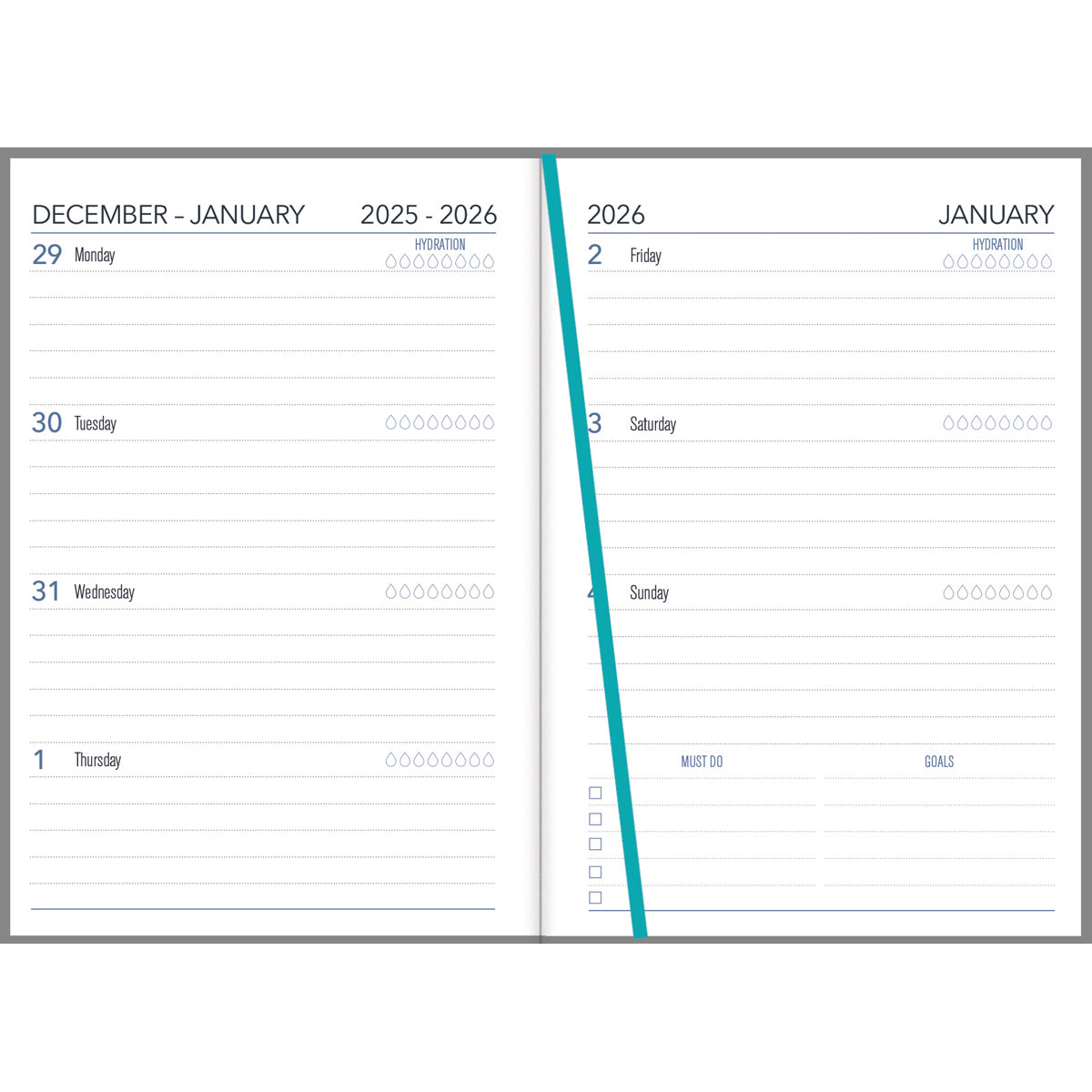 Collins Diary A53 NZ Artist Ellen Giggenbach Even Year