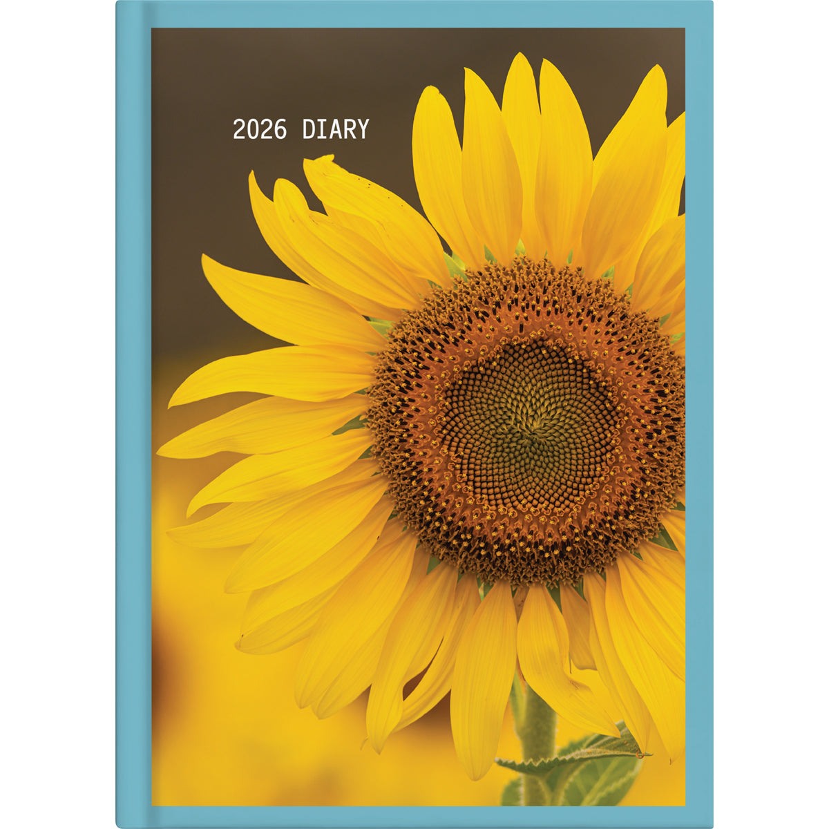 Collins Diary A61 Floral Even Year
