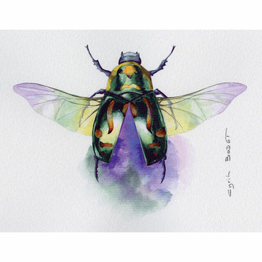 Clairefontaine Etival Cold Press Paper 56x76cm - Pack Of 10