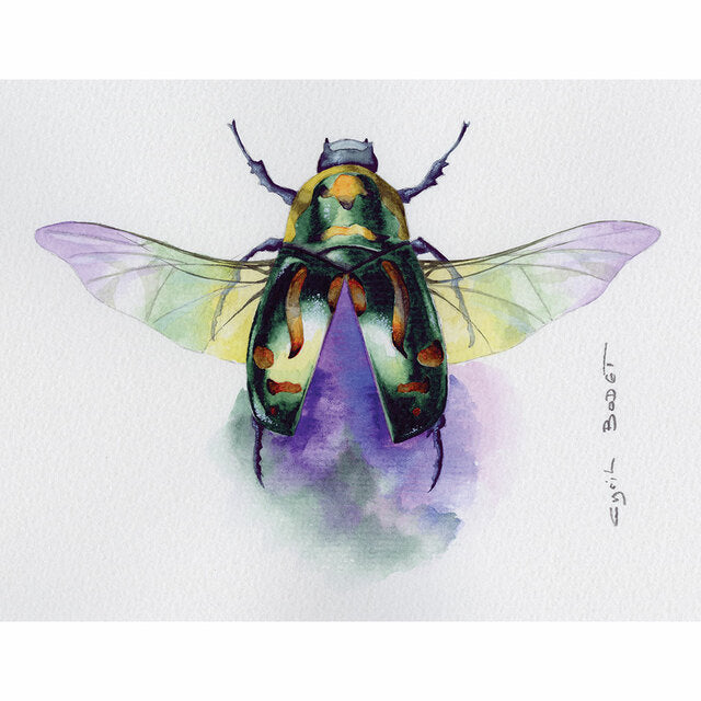 Clairefontaine Etival Cold Press Paper 56x76cm - Pack Of 10