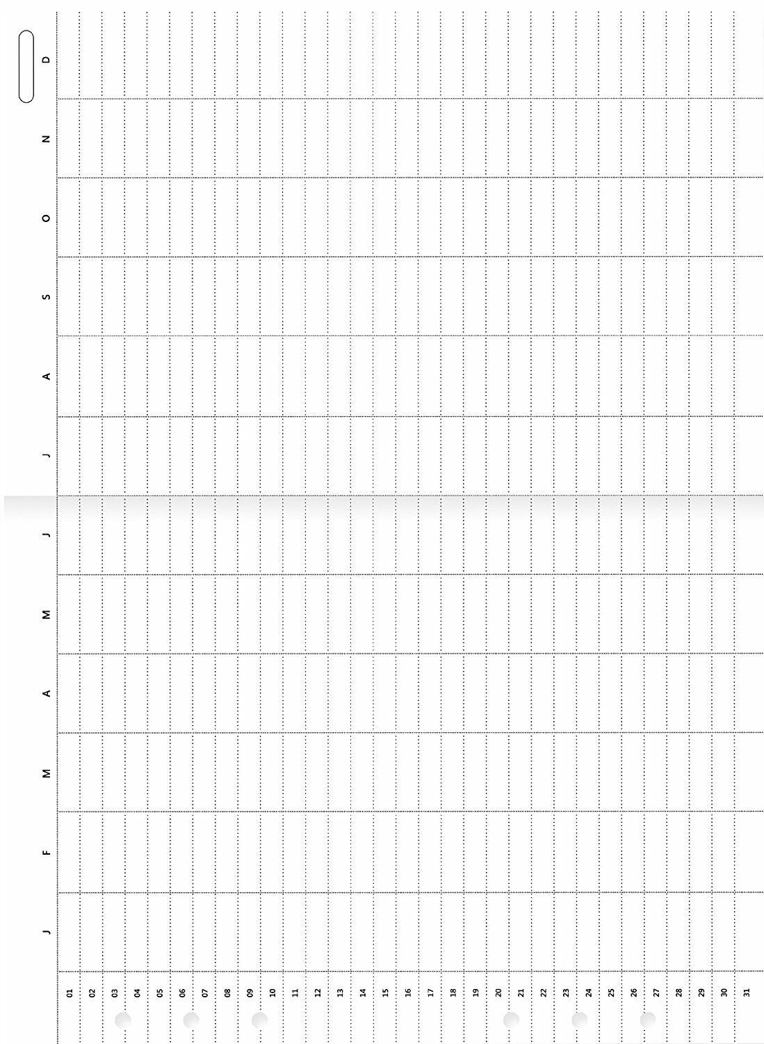 Filofax Undated Clipbook Refill A5 Year Planner