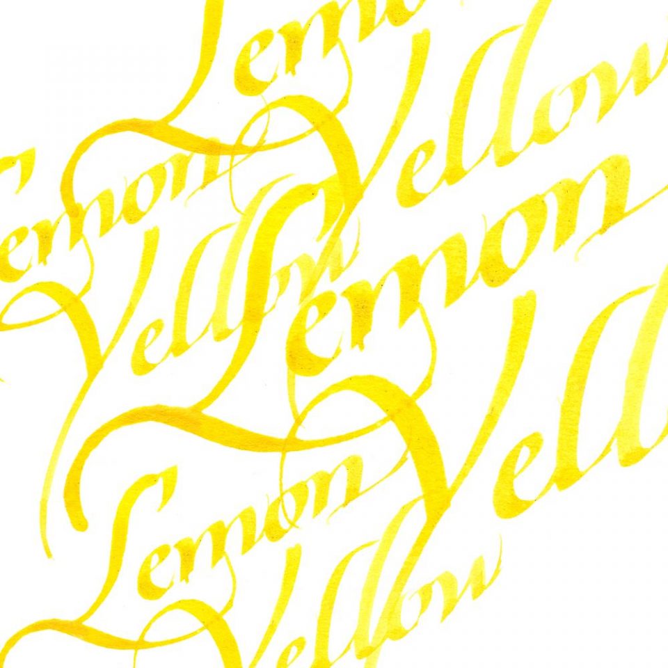 Winsor & Newton Calligraphy Inks 30ml