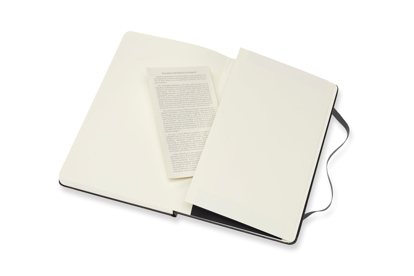 Moleskine Art Watercolor Portrait Large Black Notebook