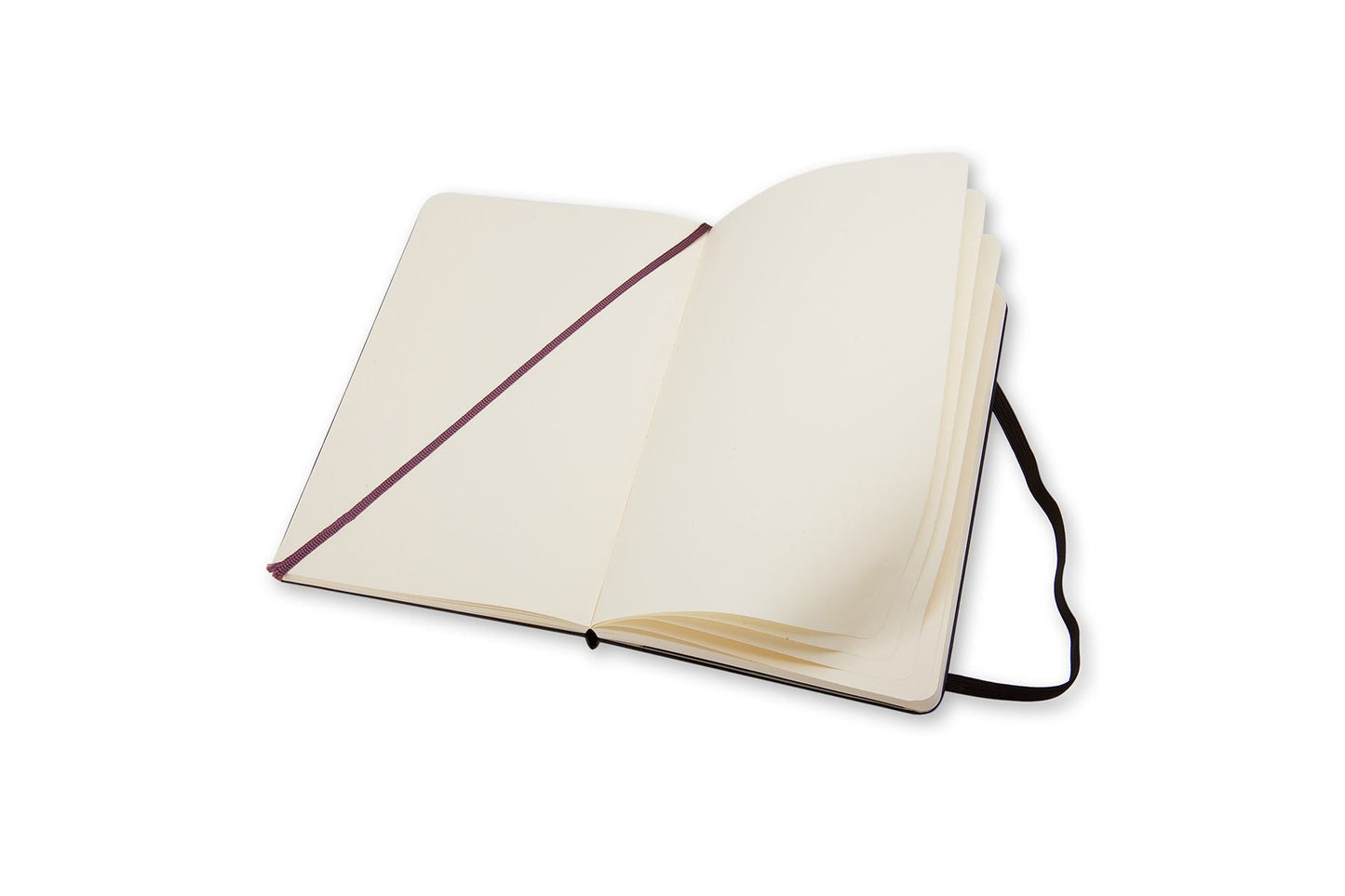 Moleskine Large Plain Hard Cover Notebooks