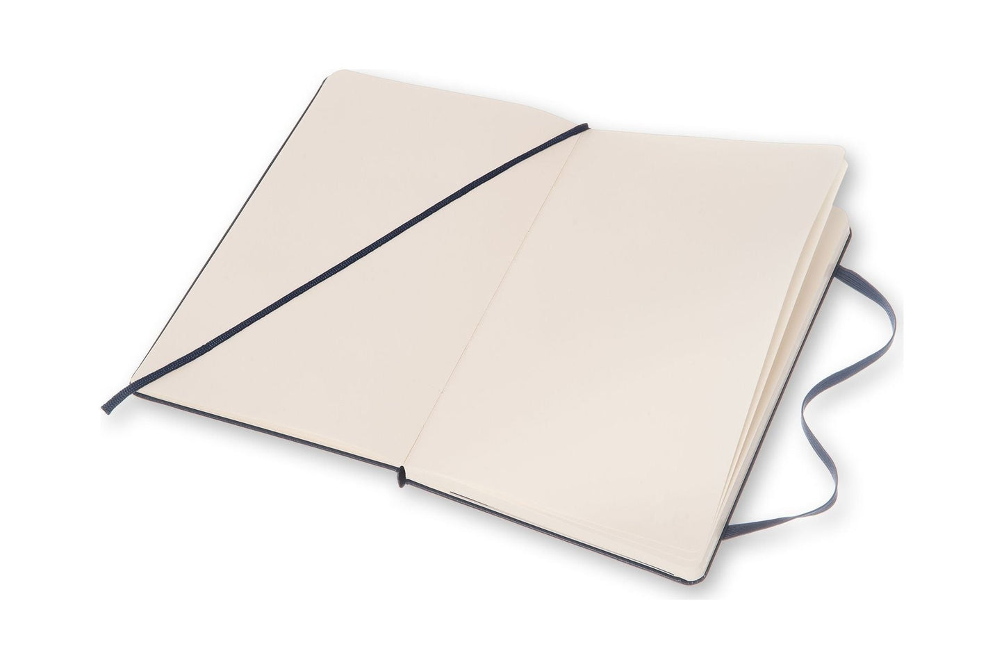 Moleskine Large Plain Hard Cover Notebooks