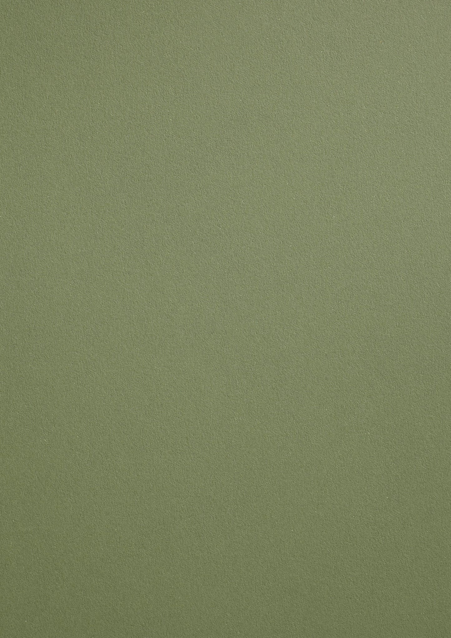 Fabriano Toned 120gsm Moss Pads