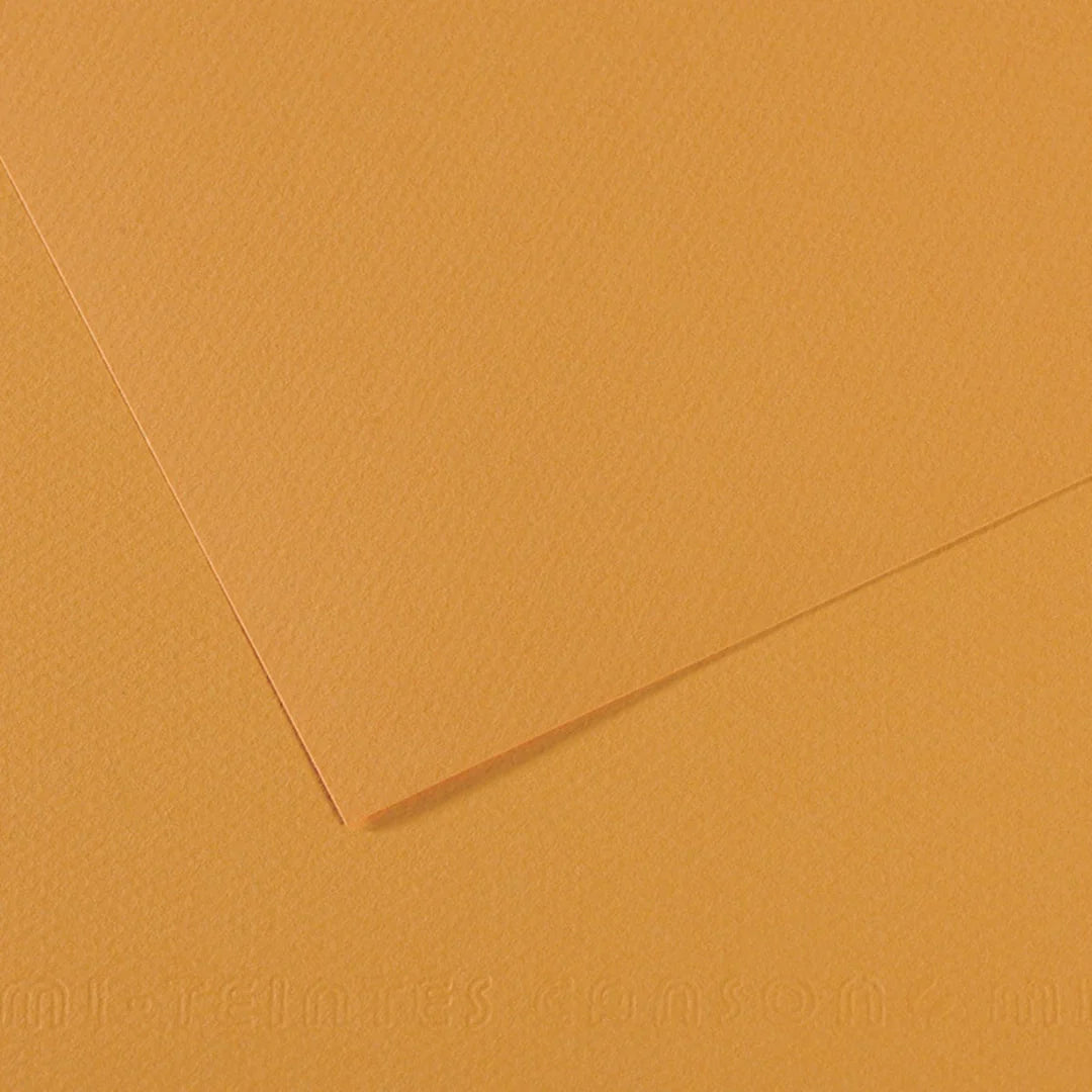 Canson Mi-Teintes 50x65cm 160gsm Paper Pack of 25 Sheets