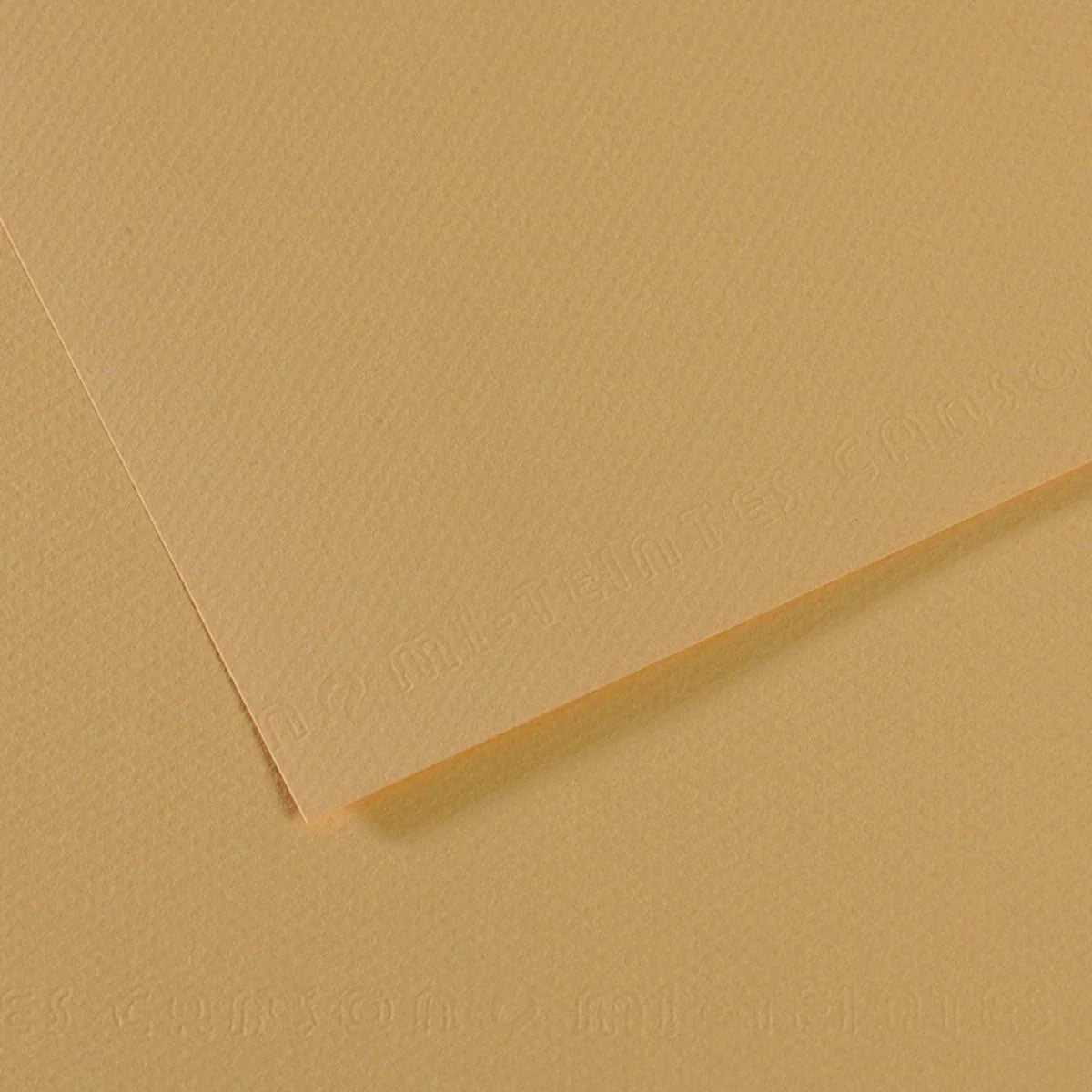 Canson Mi-Teintes 50x65cm 160gsm Paper Pack of 25 Sheets