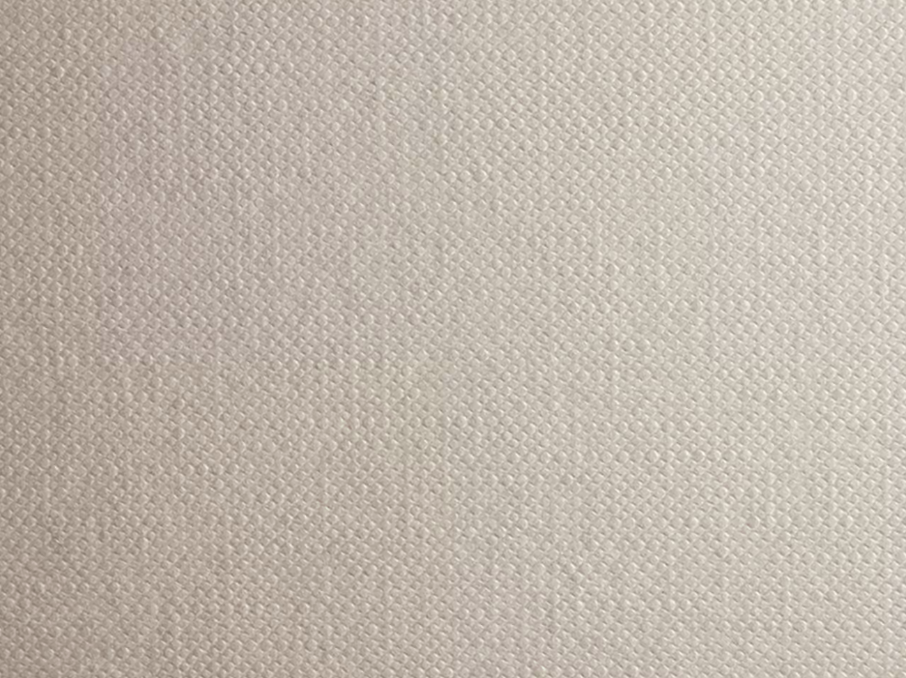 Fabriano Tela 300gsm Canvas Grain 50x65cm Oil Paper Pack of 10 Sheets