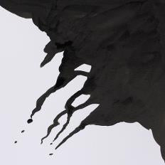 Winsor & Newton Non Waterproof Black Liquid Indian Ink