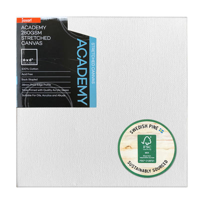 Jasart Academy 1.5 Inch Thick Edge Canvases Pack of 6