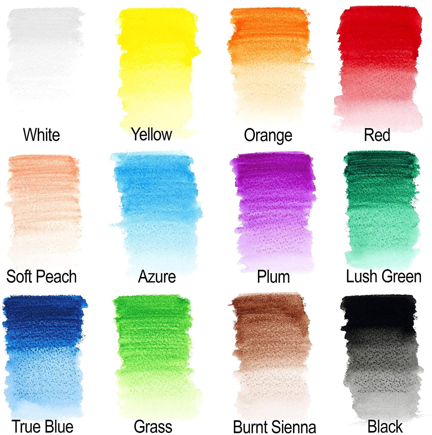 Winsor & Newton Studio Watercolour Pencils Set of 12