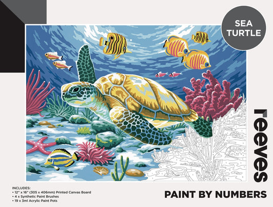 Reeves Paint By Numbers 12x16 Inch Turtle