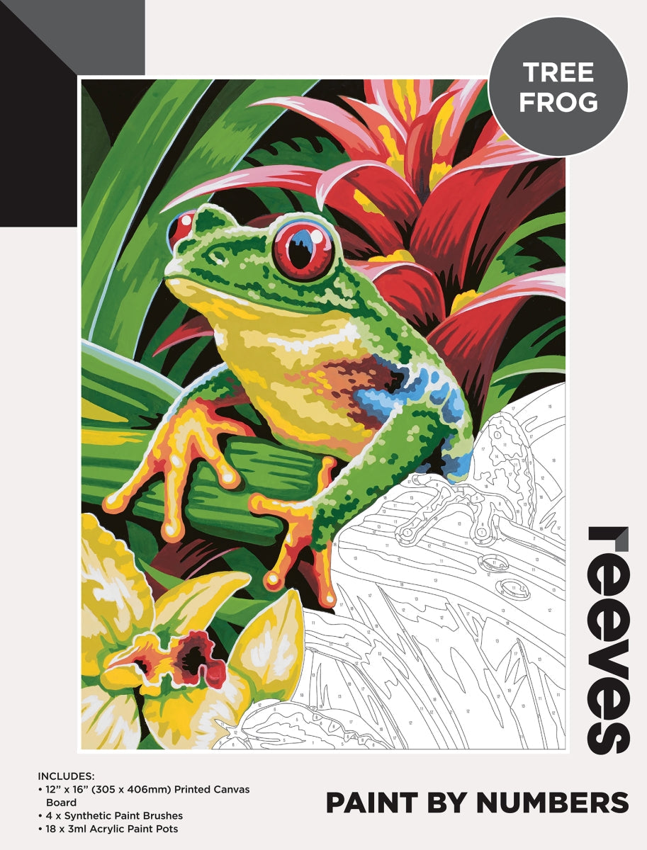 Reeves Paint By Numbers 12x16 Inch Frog