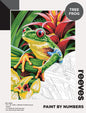 Reeves Paint By Numbers 12x16 Inch Frog