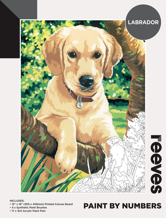 Reeves Paint By Numbers 12x16 Inch Labrador