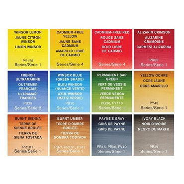 Winsor & Newton Professional Watercolour Half Pan Paints Field Pocket Set of 12