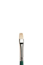 Winsor & Newton Winton Hog Long Handle Short Flat Brushes