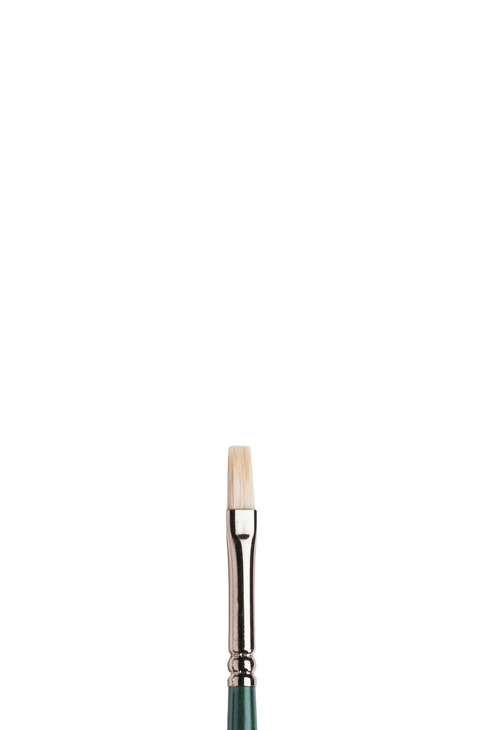 Winsor & Newton Winton Hog Long Handle Flat Brushes