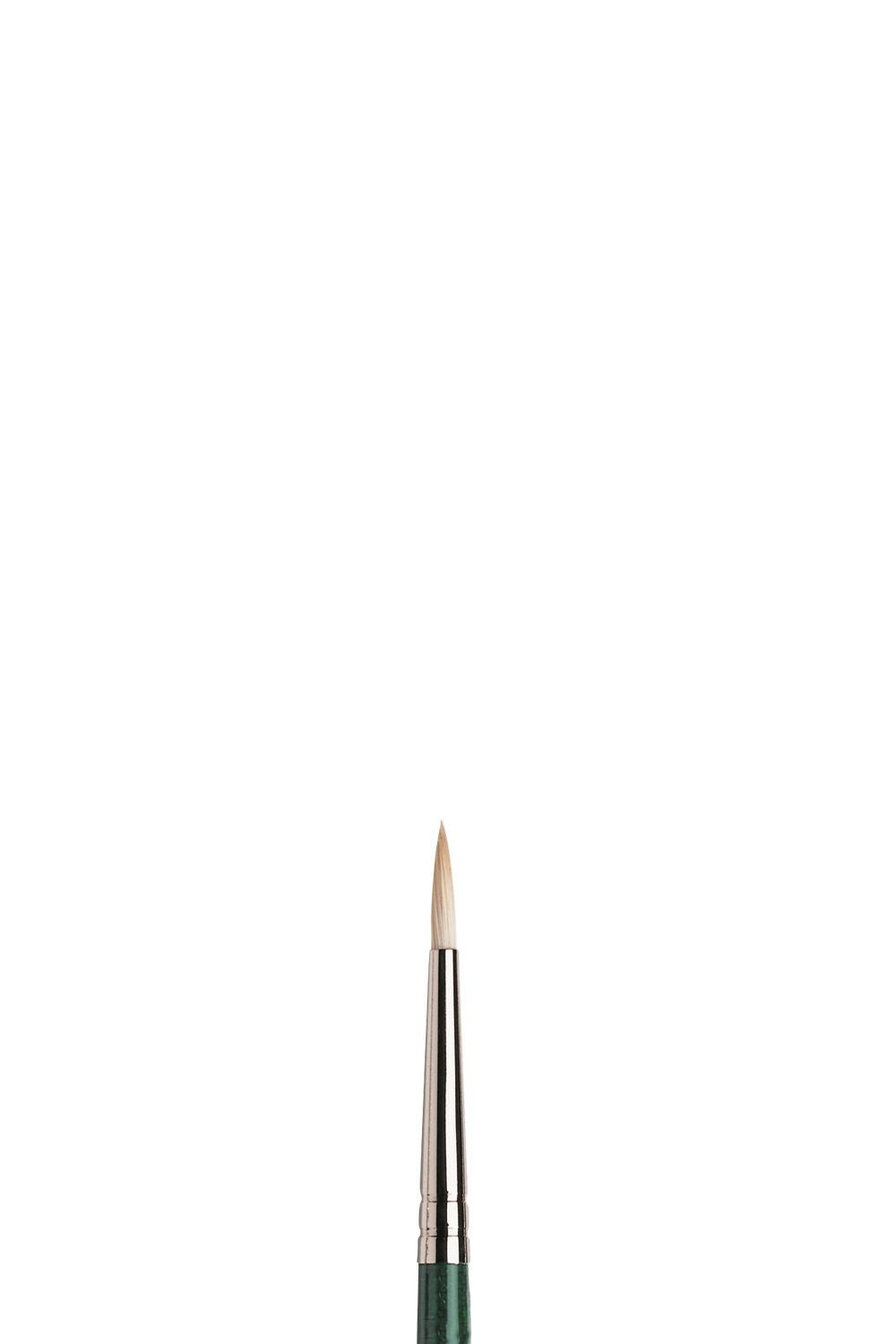 Winsor & Newton Winton Hog Long Handle Round Brushes