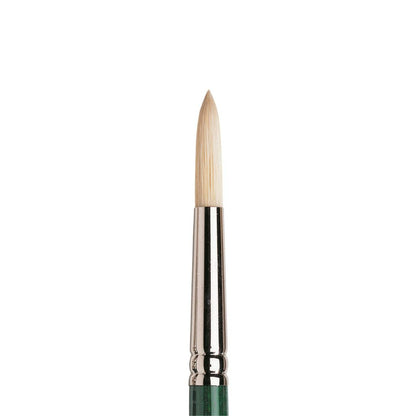 Winsor & Newton Winton Hog Long Handle Round Brushes