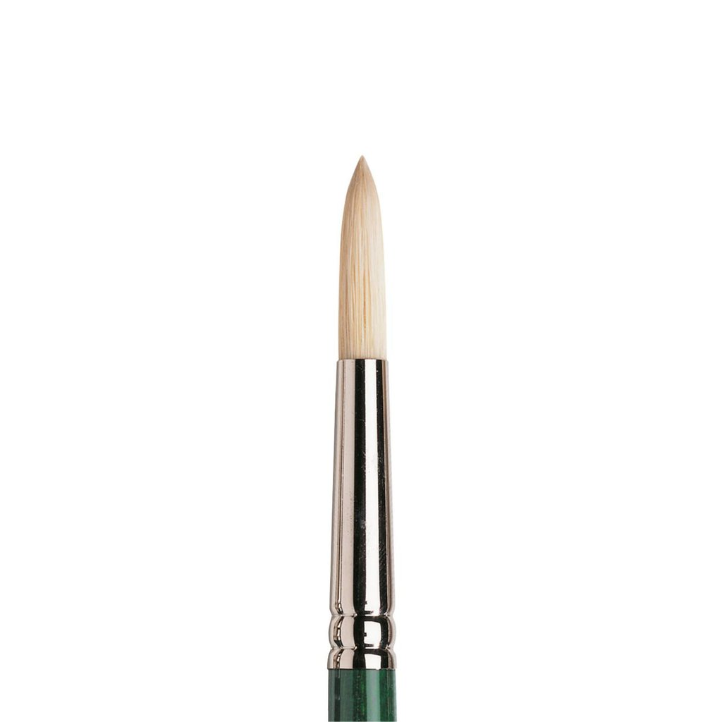 Winsor & Newton Winton Hog Long Handle Round Brushes