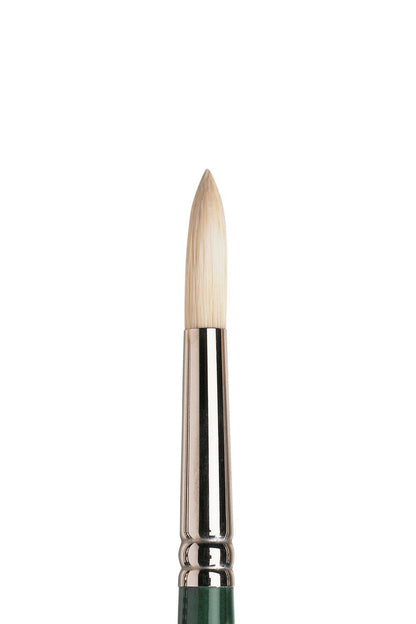 Winsor & Newton Winton Hog Long Handle Round Brushes