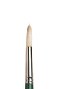 Winsor & Newton Winton Hog Long Handle Round Brushes