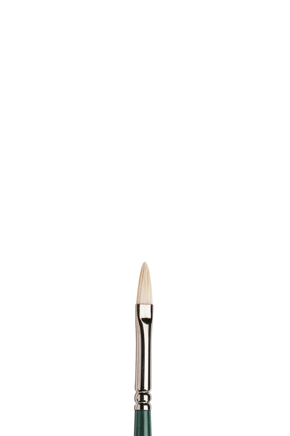 Winsor & Newton Winton Hog Long Handle Filbert Brushes