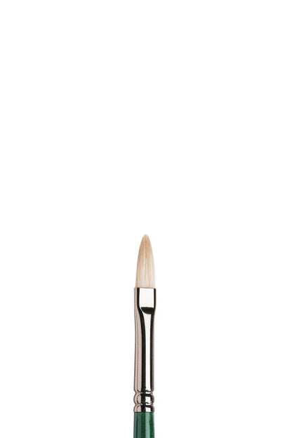 Winsor & Newton Winton Hog Long Handle Filbert Brushes
