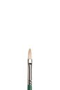 Winsor & Newton Winton Hog Long Handle Filbert Brushes