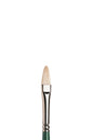 Winsor & Newton Winton Hog Long Handle Filbert Brushes
