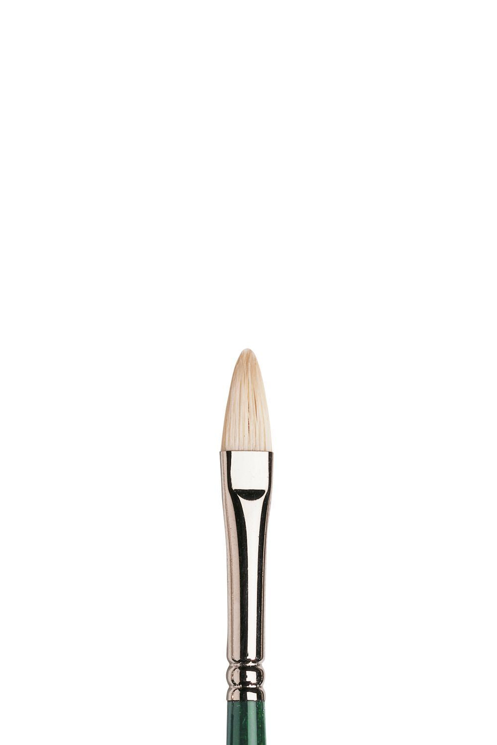Winsor & Newton Winton Hog Long Handle Filbert Brushes