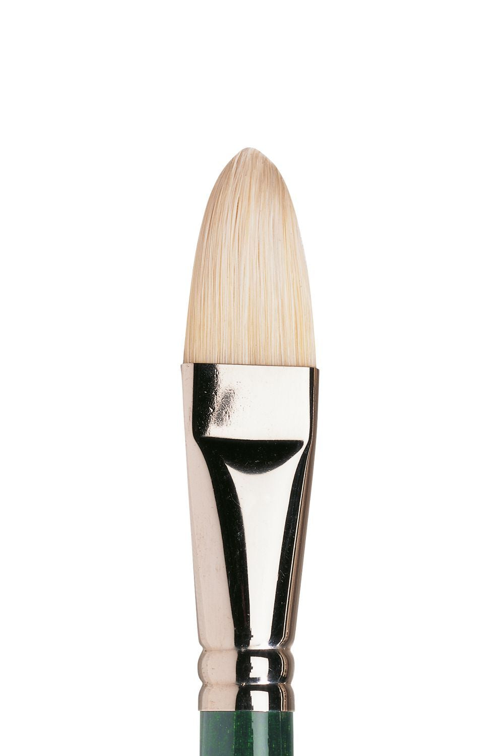 Winsor & Newton Winton Hog Long Handle Filbert Brushes