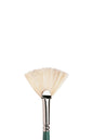 Winsor & Newton Winton Hog Long Handle Fan Brushes