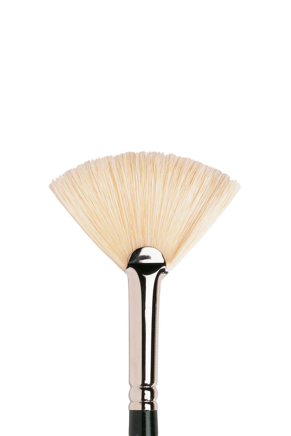 Winsor & Newton Winton Hog Long Handle Fan Brushes