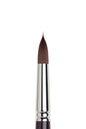 Winsor & Newton Galeria Long Handle Round Brushes