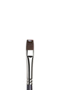 Winsor & Newton Galeria Long Handle Flat Brushes