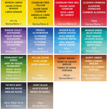 Winsor & Newton Professional Watercolour Half Pan Paints Compact Set Of 14