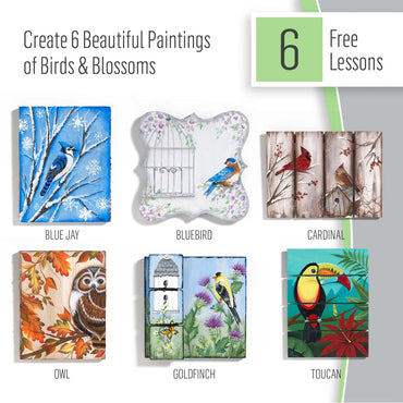 FolkArt Stroke Birds & Blossoms Kit