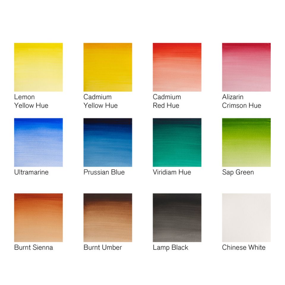 Winsor & Newton Cotman Watercolour Half Pan Paints Set Of 12