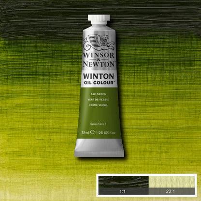 Winsor & Newton Winton Oil Colour Paints 37ml